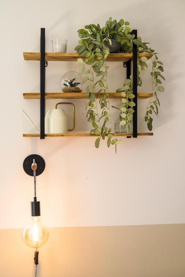 Appartement T2 - Vue Imprenable Sur La Cathedrale カンペール エクステリア 写真